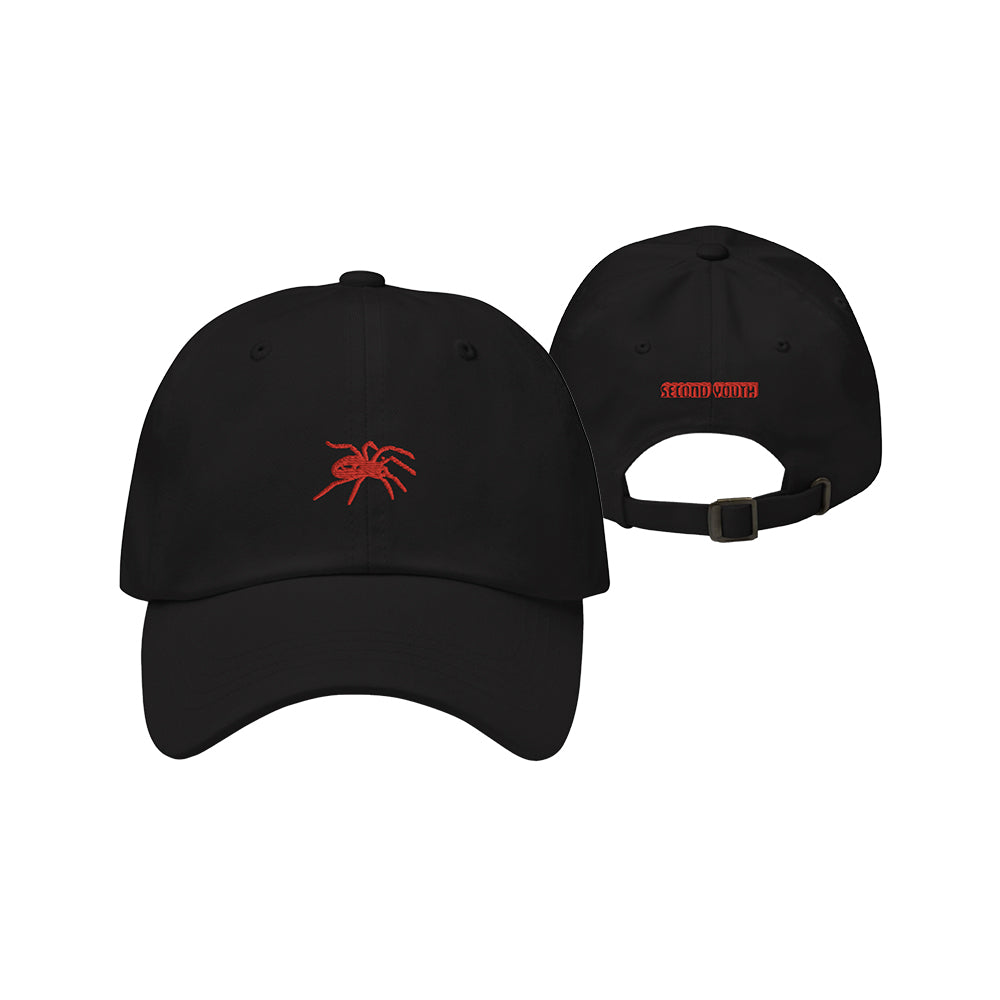 Second Youth "Can't Call It Home When No One's Waiting" Dad Hat