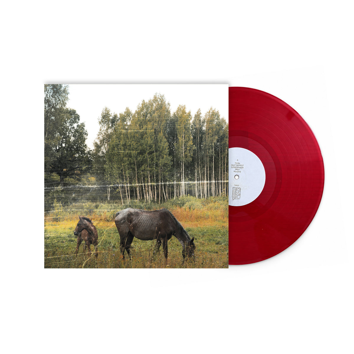Pianos Become The Teeths "Old Piano" 12" Inch Vinyl Red Translucent